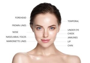 Dermal fillers use area